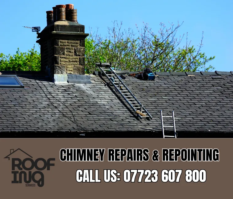 Chimney repair and repointing services in Seaton