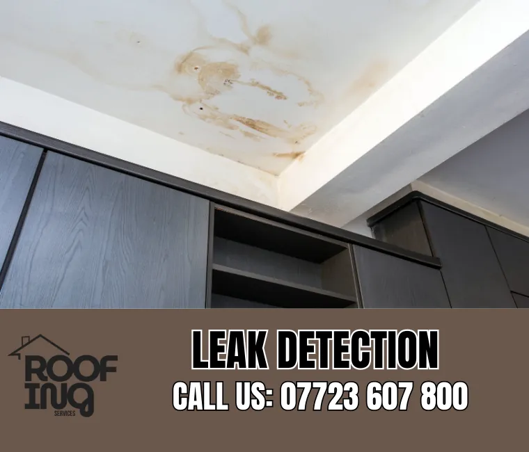 Roof Leak Detection in Seaton
