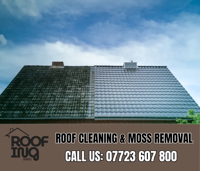 Roof Cleaning in Seaton